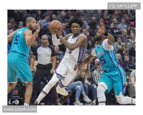 新奥尔良黄蜂队的崛起与挑战:重塑球队未来的关键时刻与战略分析