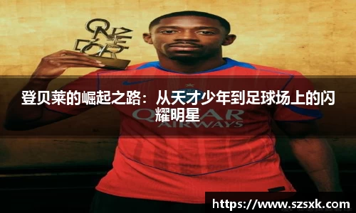 中欧电竞登录